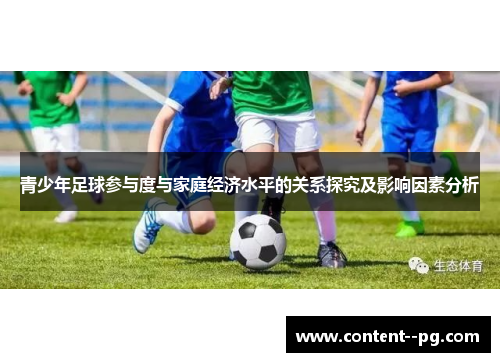 青少年足球参与度与家庭经济水平的关系探究及影响因素分析