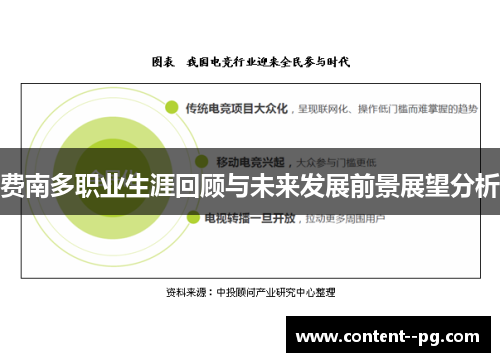 费南多职业生涯回顾与未来发展前景展望分析